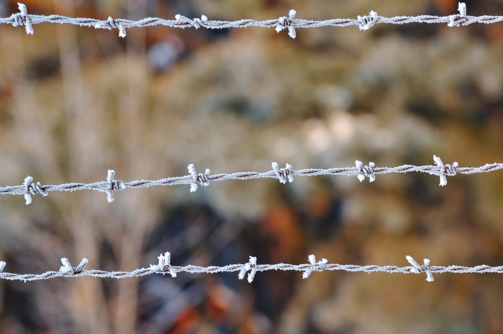 Barbed Wire Fence Installation
