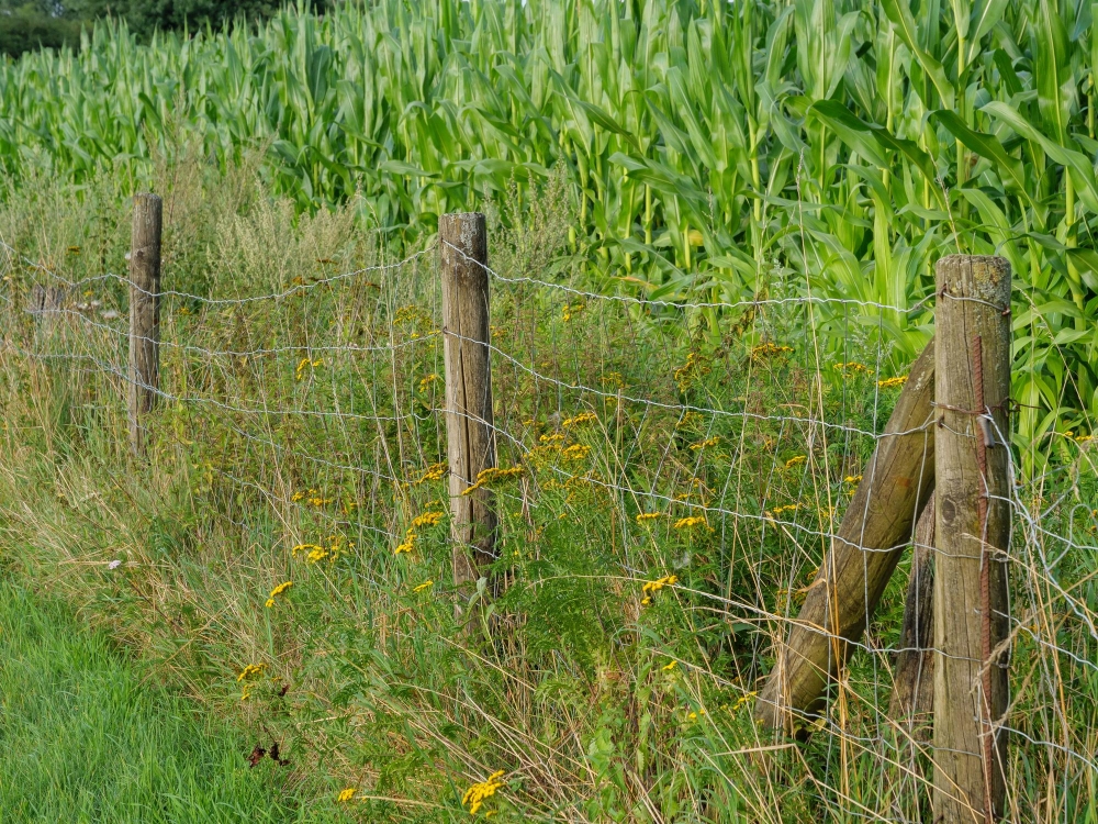 Farm and Ranch Fencing