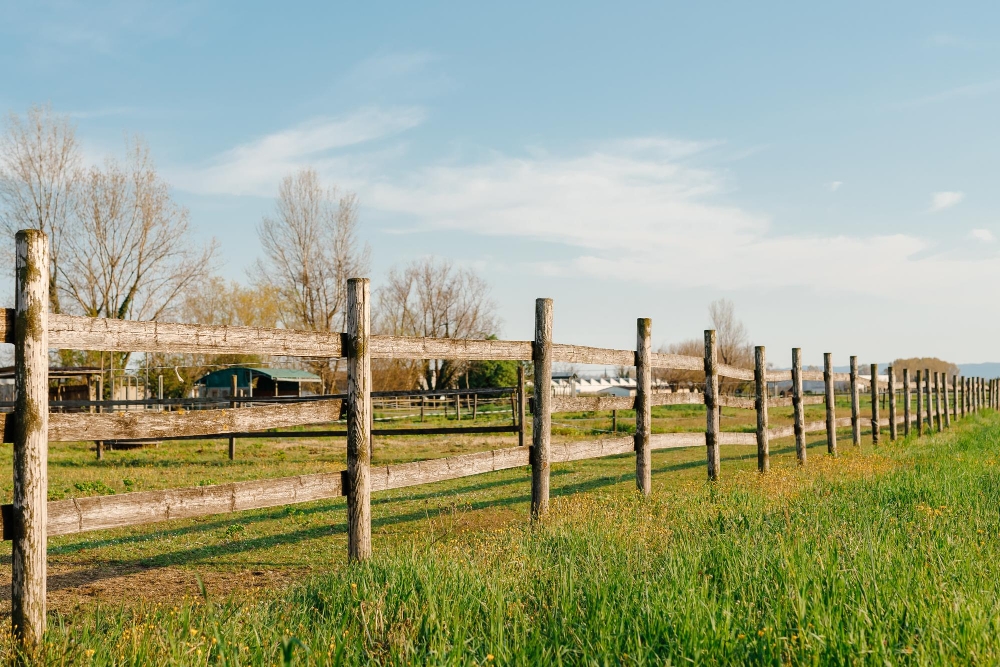 Farm and Ranch Fencing