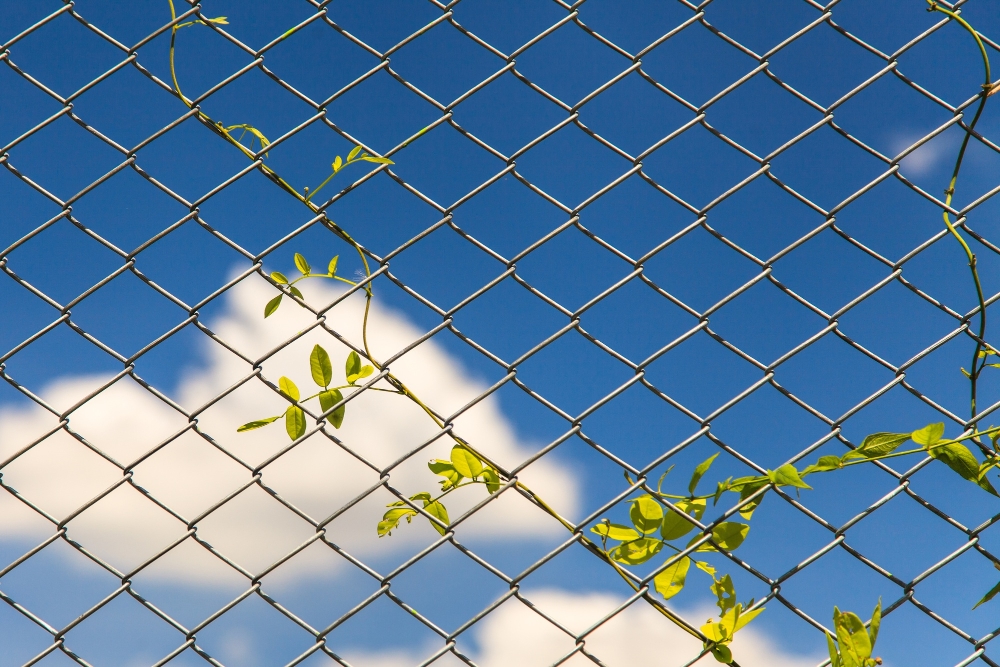 chain link fence