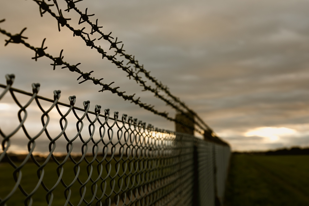 Barbed Wire Fence