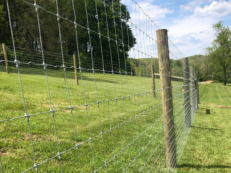 Woven Wire Fence Installation img-4