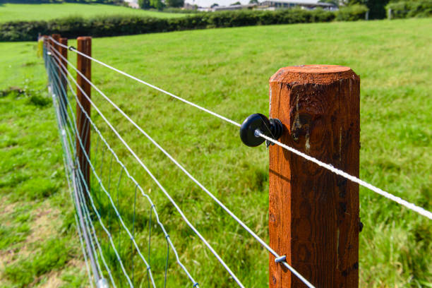 Electric Fence